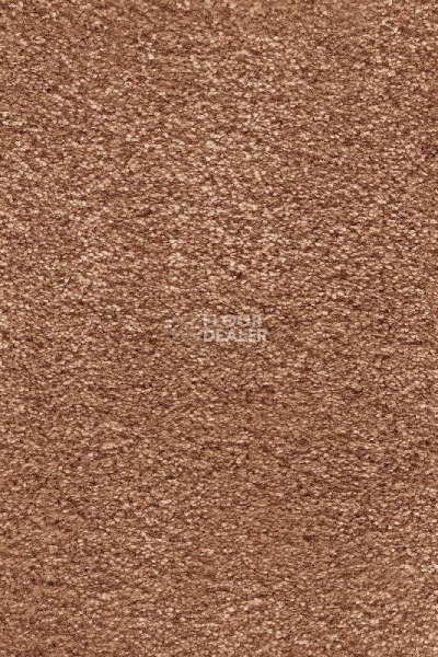 Ковролин AW Ventus 84 фото 1 | FLOORDEALER